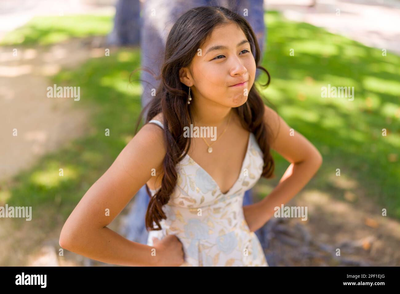 Teenage Asian Girl with Hands on Hips with a Stubborn Look | Prom Dress | Standing Under Painted Blue Tree in a Plaza Stock Photo