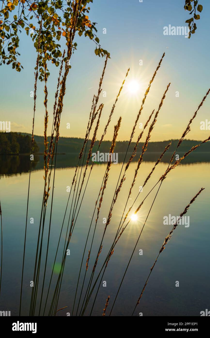 Idyllic panorama landscape of Swedish lake sunset Stock Photo