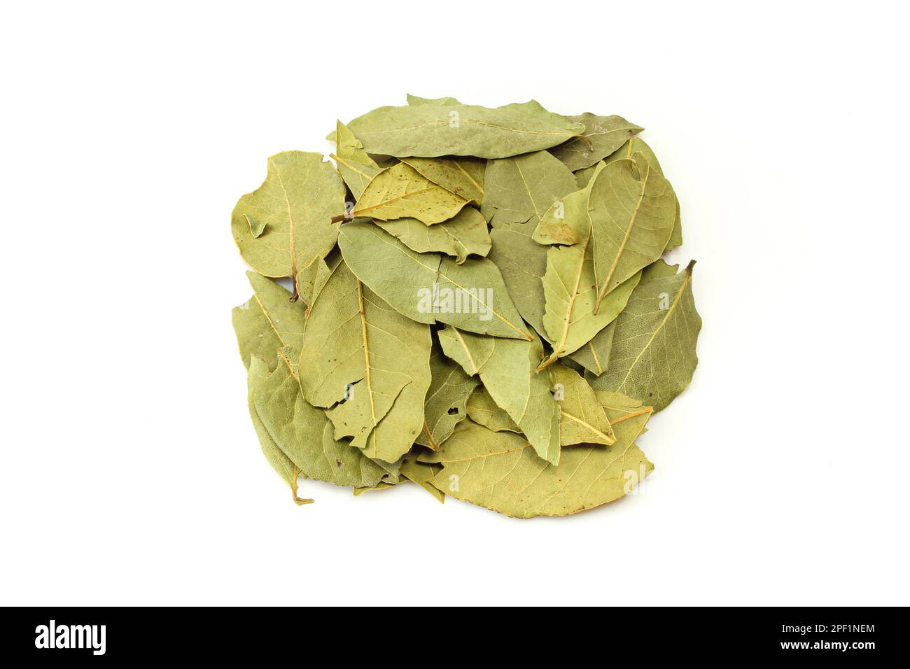 Pile of dry laurel leaves isolated on white background Stock Photo