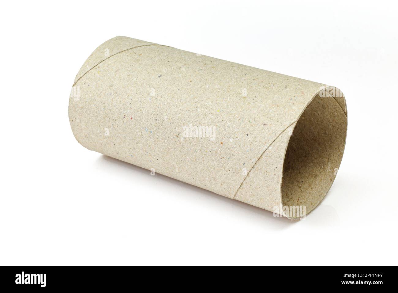 Empty carboard cylinder shaped toilet paper core isolated on white background Stock Photo