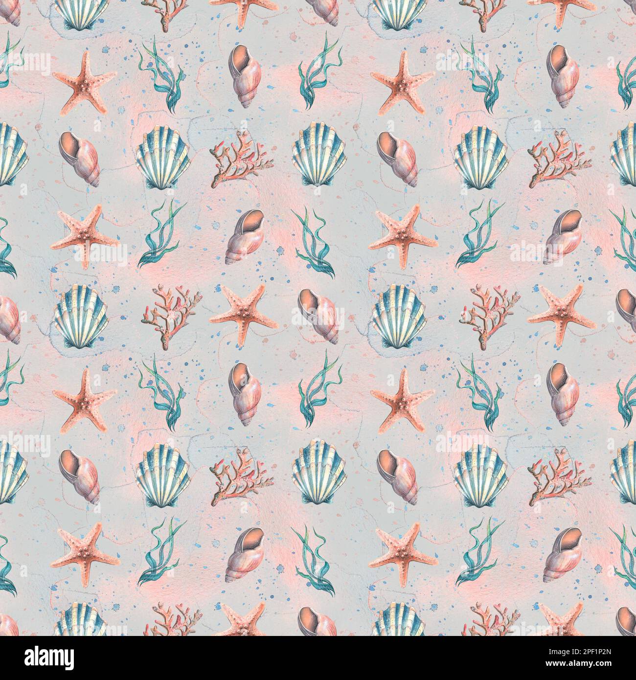 Seashells, algae, corals and sea sponges on the background of ...