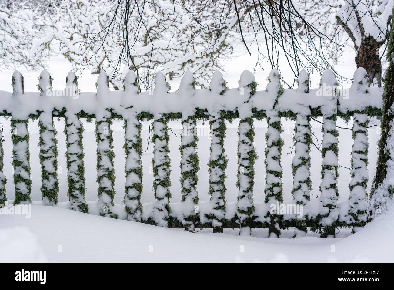 Old fence overgrown with moss, covered with snow in a garden with large snowdrifts. Stock Photo