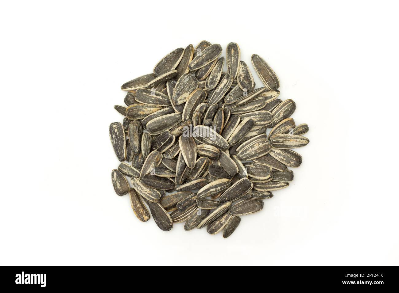 Pile of sunflower seeds in shell isolated on white background Stock Photo Alamy
