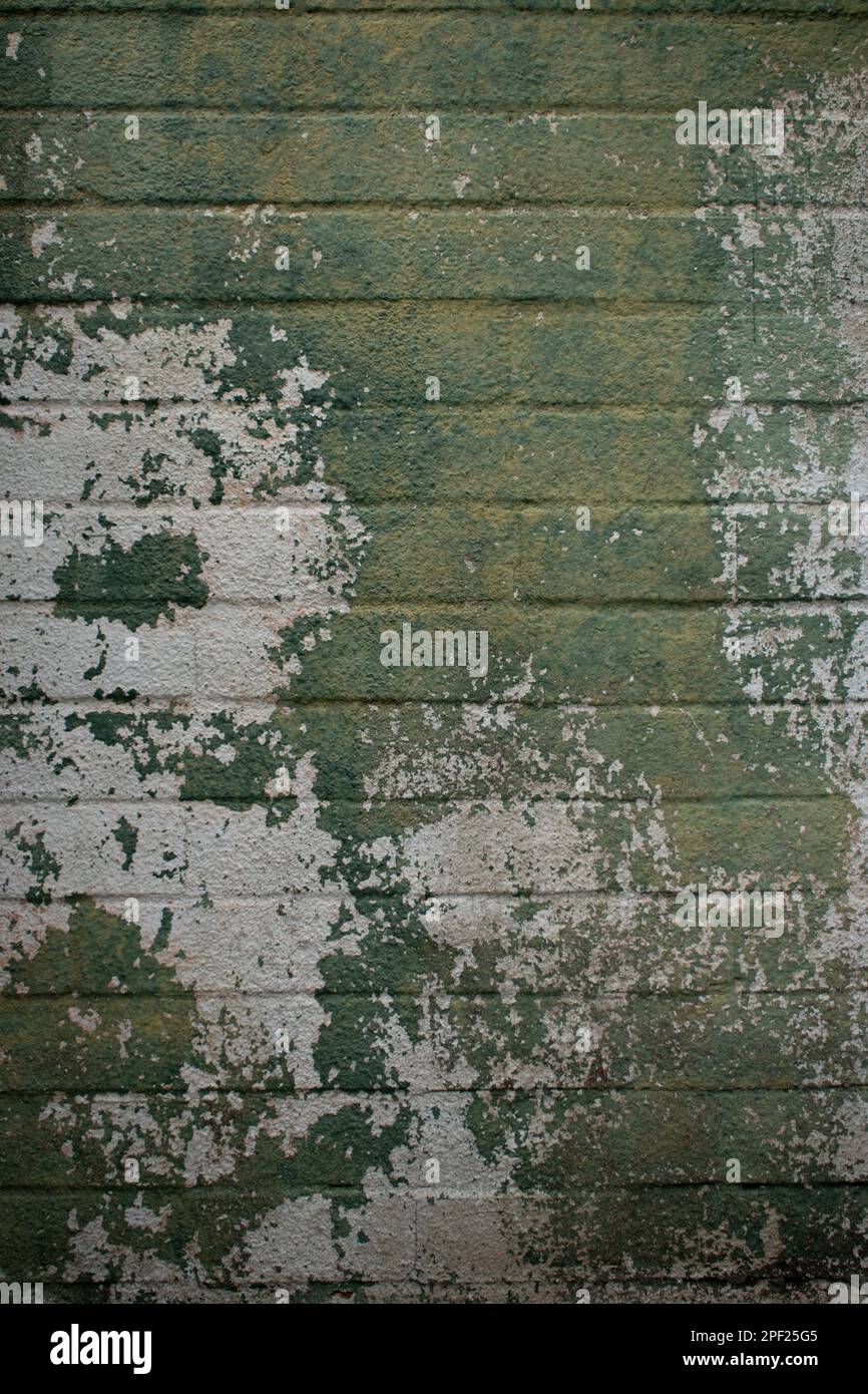 Cinder block wall with green peeling paint Stock Photo