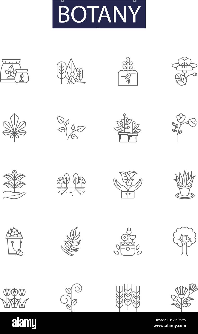 Botany line vector icons and signs. Photosynthesis, Reproduction, Taxonomy, Genetics, Ecological, Cultivation, Bryophytes, Mycology outline vector Stock Vector