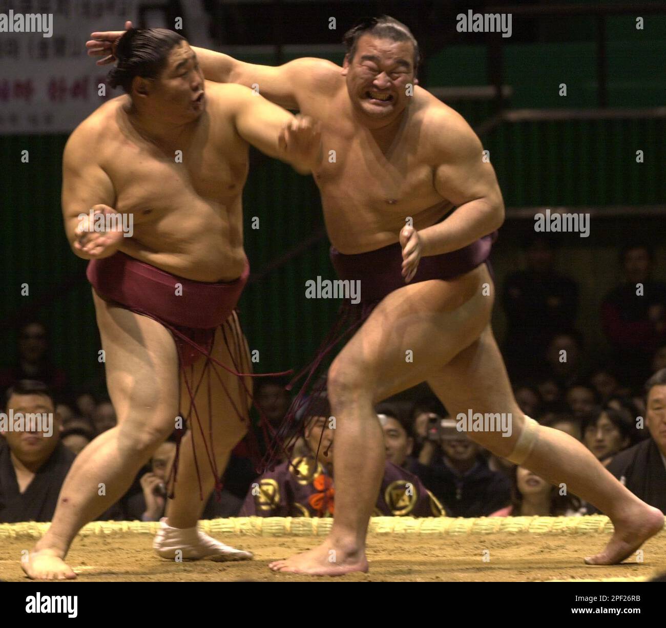 Japanese sumo wrestler Kyokushuzan, left, fights Takamisakari during an