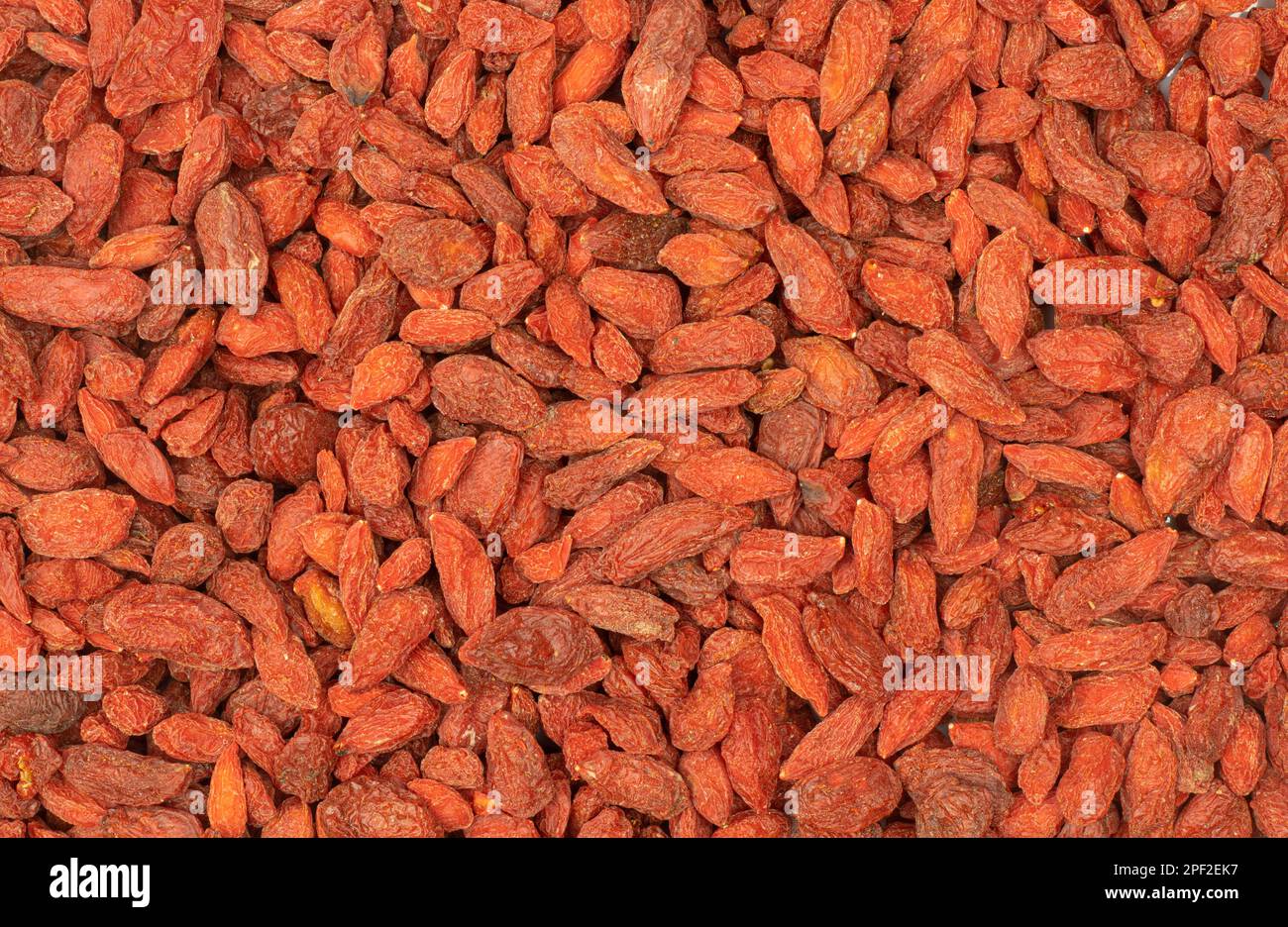 Chinese goji dry seeds superfood isolated full frame texture background Stock Photo
