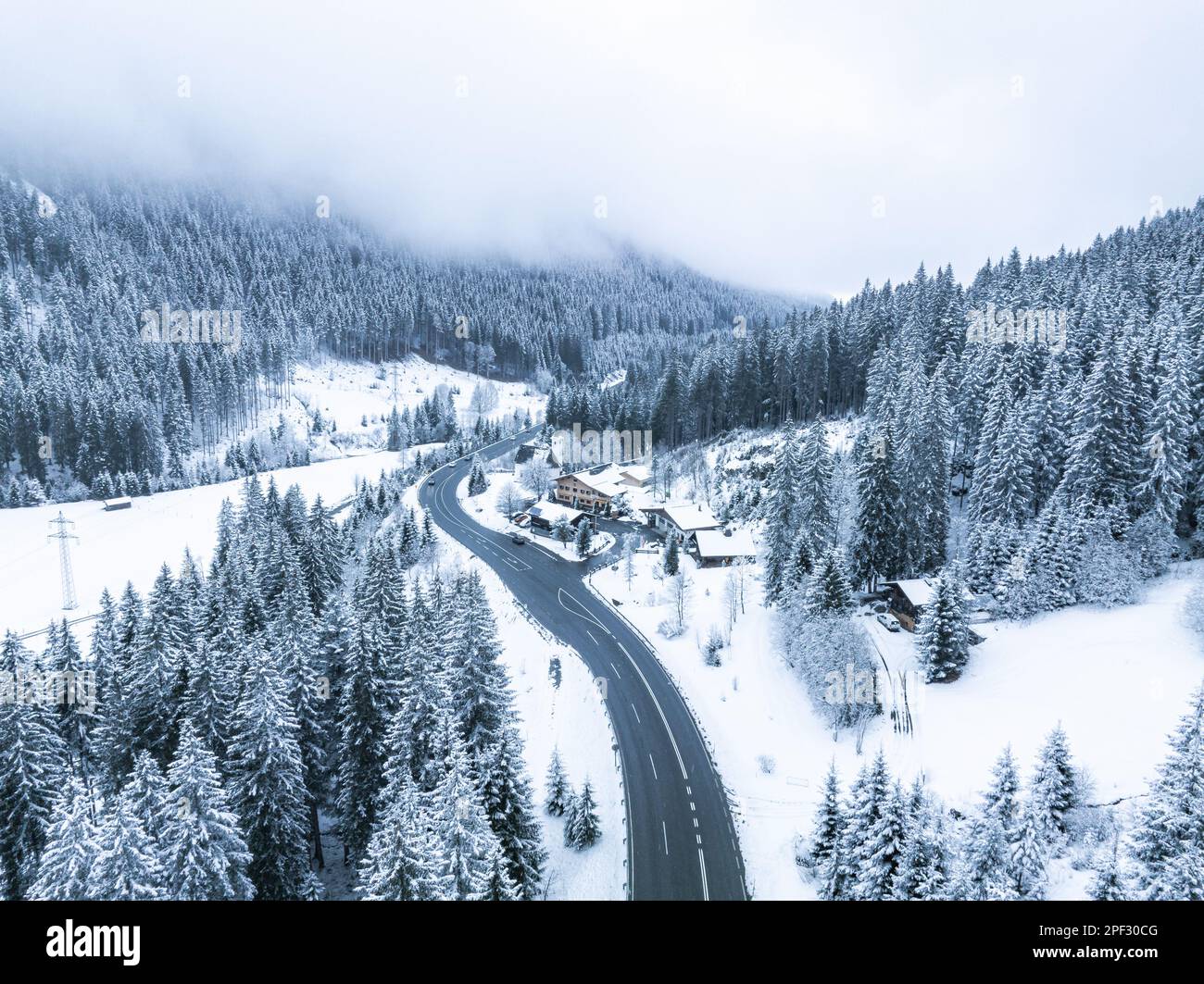 Aerial top view snowy pine hi-res stock photography and images - Alamy