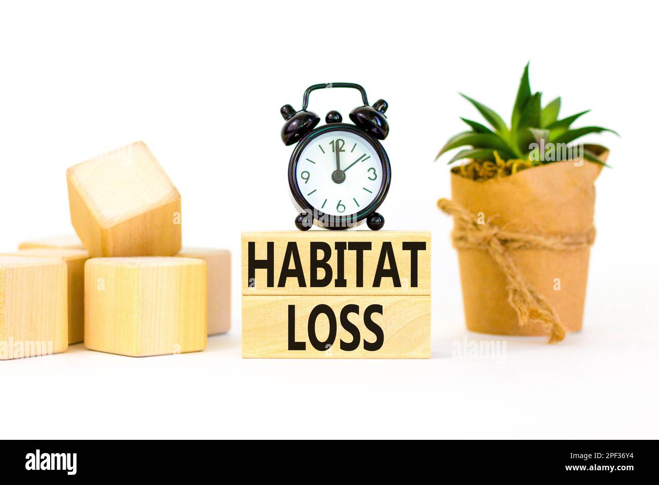 Habitat loss symbol. Concept words Habitat loss on wooden block. Beautiful white table white