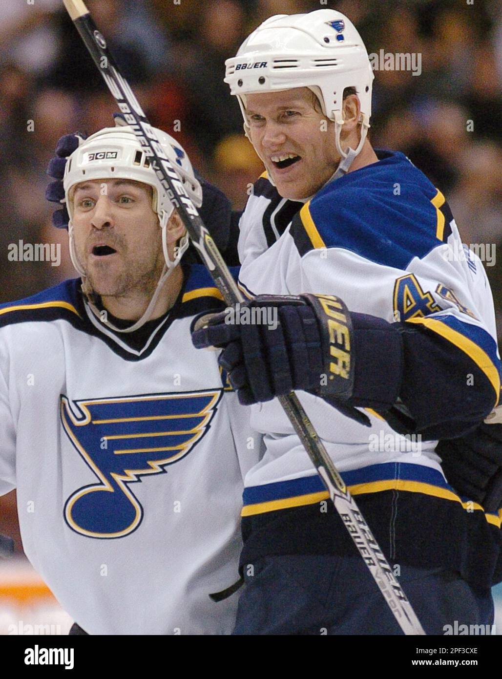 スケールモデル 新作 St. Louis Blues Chris Pronger, right, and Doug Weight 洋書