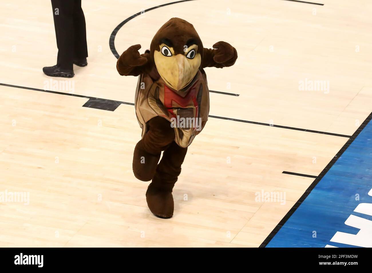 BIRMINGHAM, AL MARCH 16 The Maryland Terrapins mascot during the