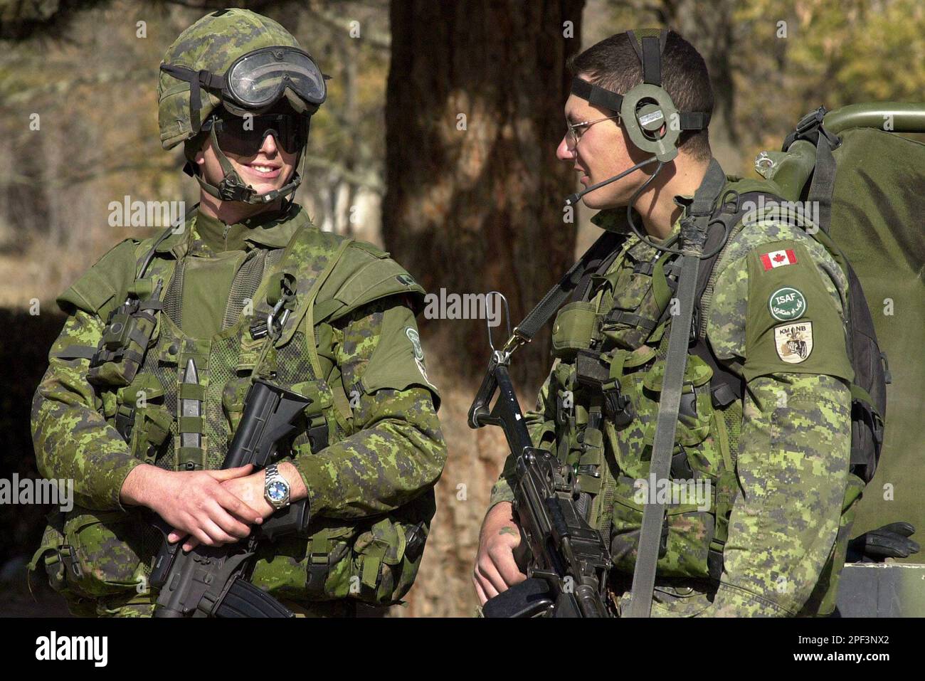 Yalang eshak bilan raqsga tushish