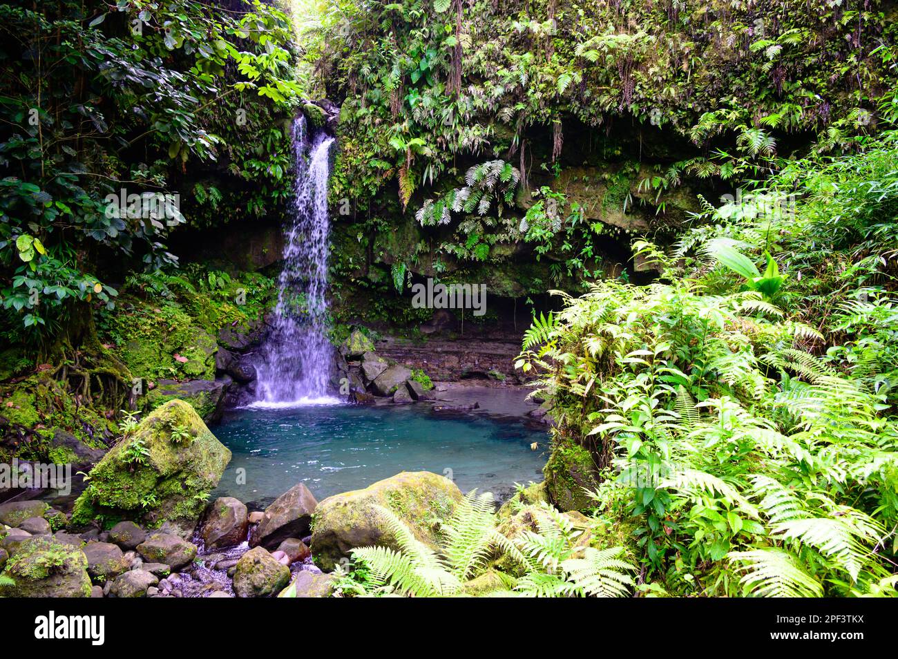 A swimmer enjoying Emerald Pool in the lush rain forest, the waterfall 