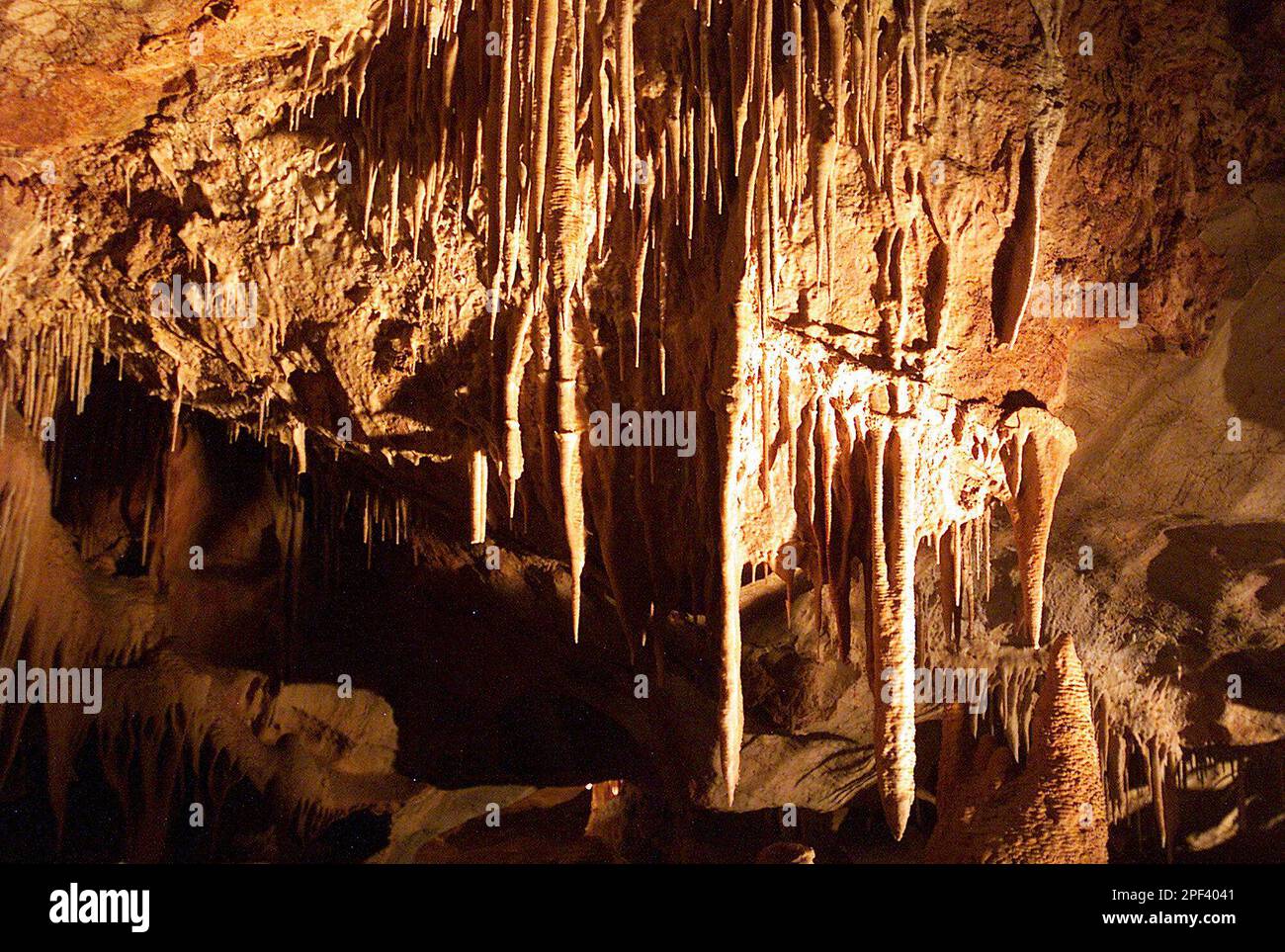 Formations in the Big Room complex of the Kartchner Caverns in the ...
