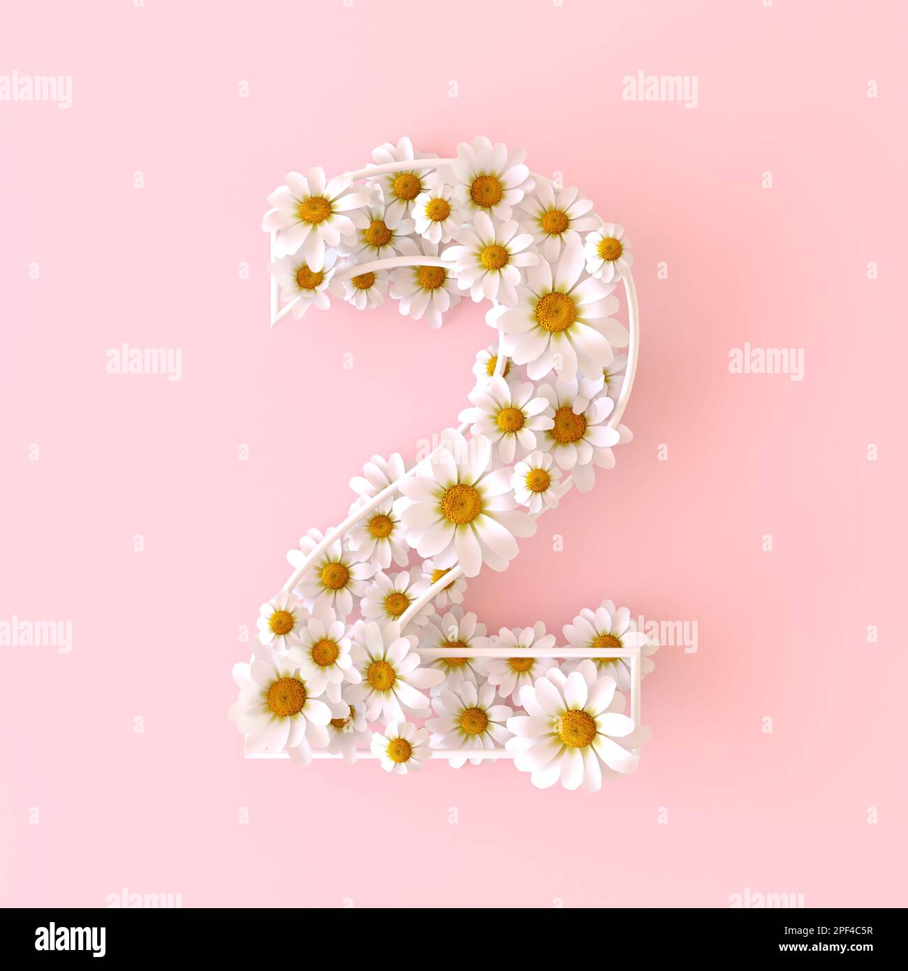 Number 2 made of natural chamomile flowers. Cute camomiles number two