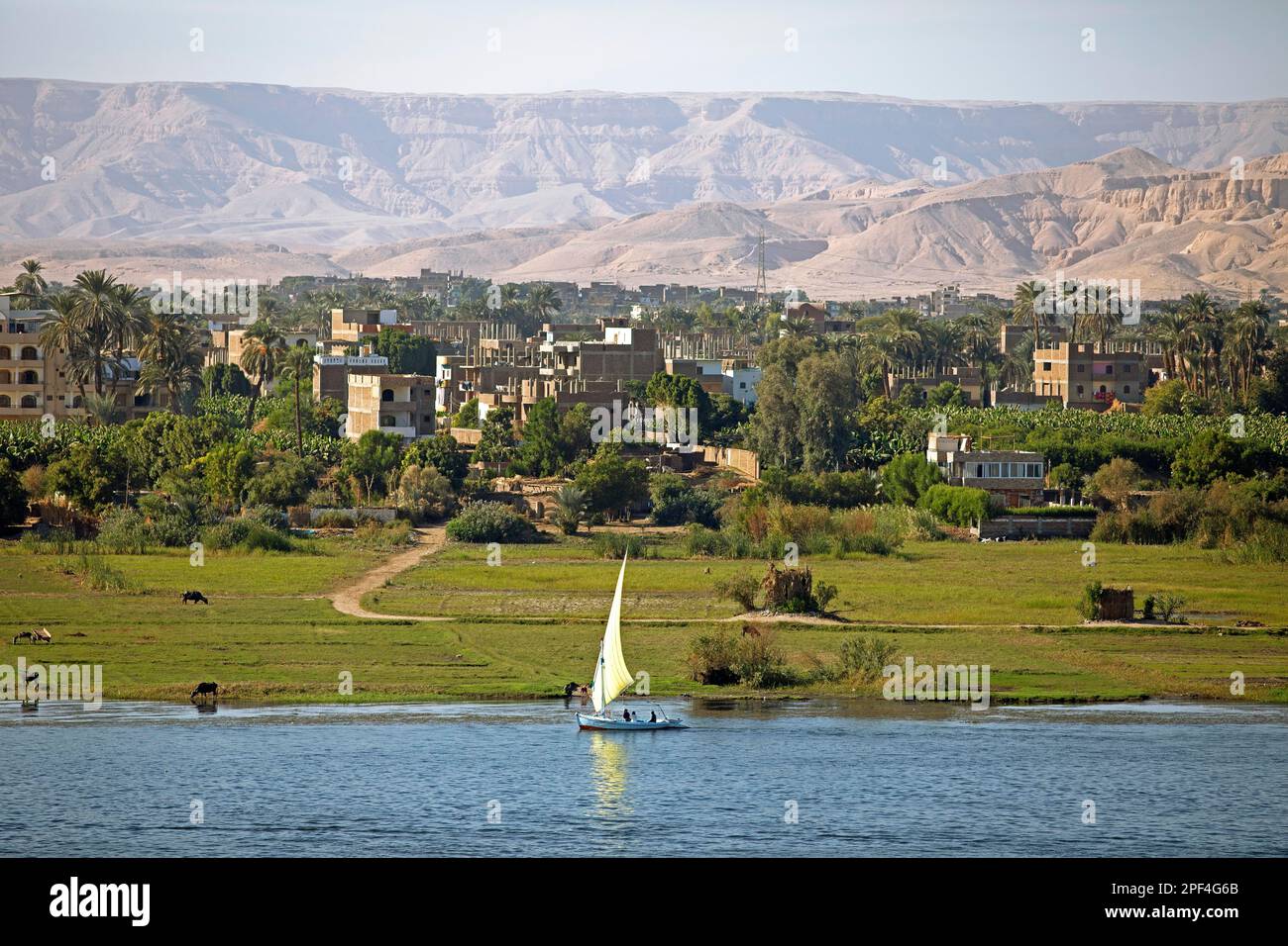 Felucca or traditional sailing boat on the Nile, behind Luxor and the Eastern Desert, Egypt Stock Photo