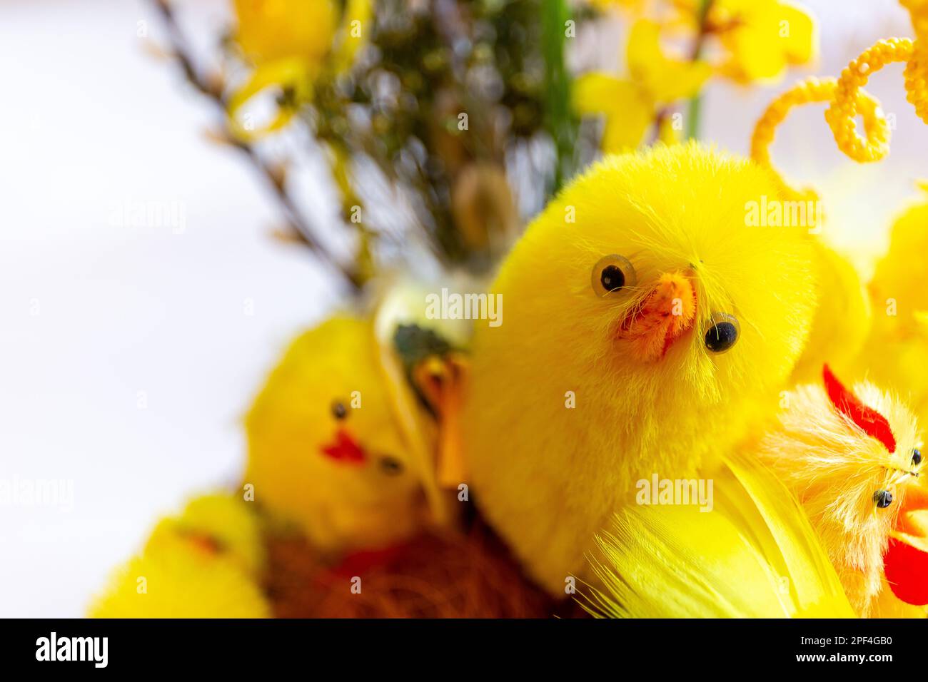 Decorative yellow Easter chicks in wicker Easter basket, close-up view, copy space. Stock Photo