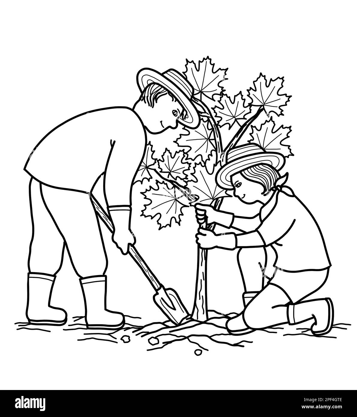 a drawing of planting trees - Brainly.in