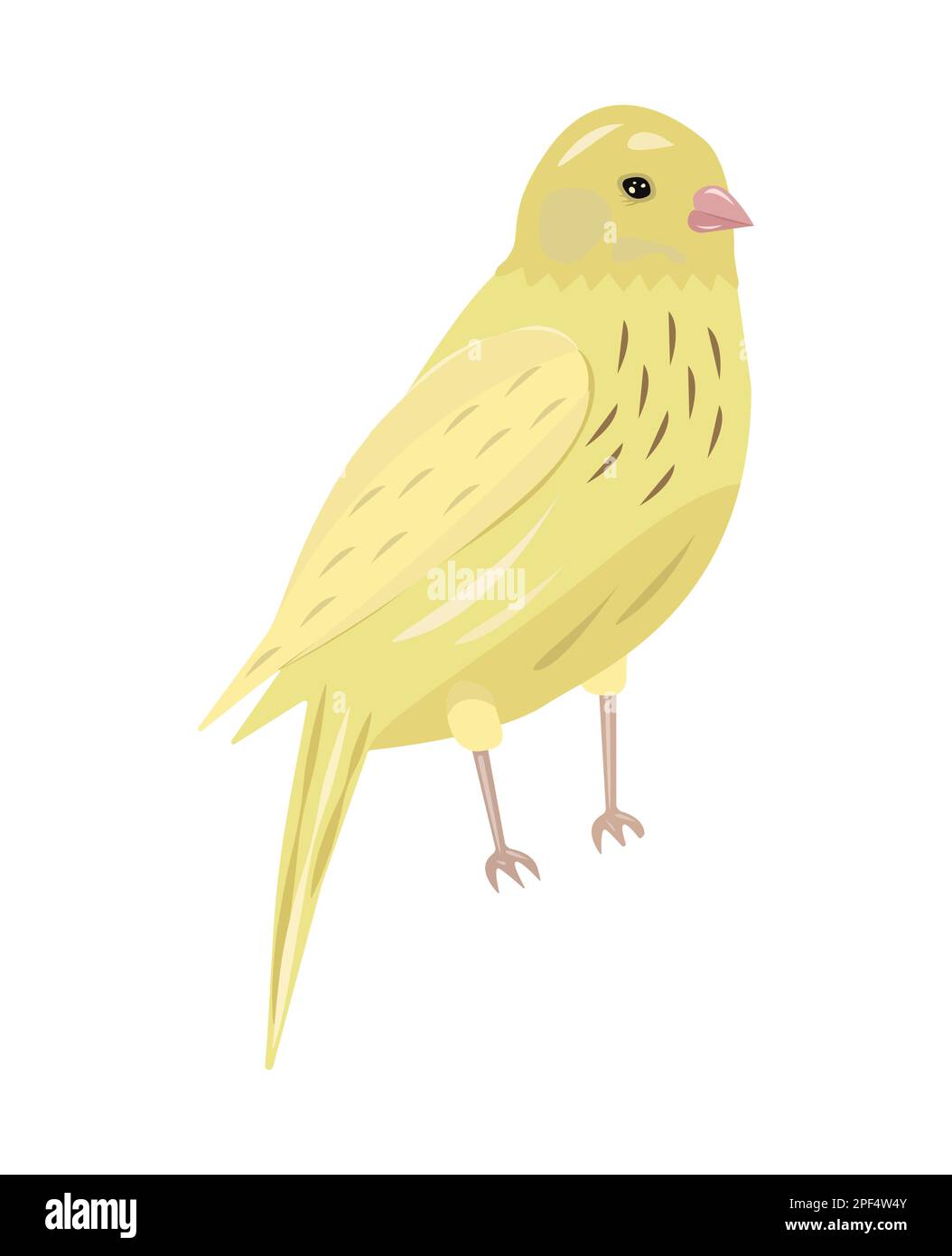 Yellow bird canary, colorful vector illustration. They associate this creature with wealth and homeliness Stock Vector