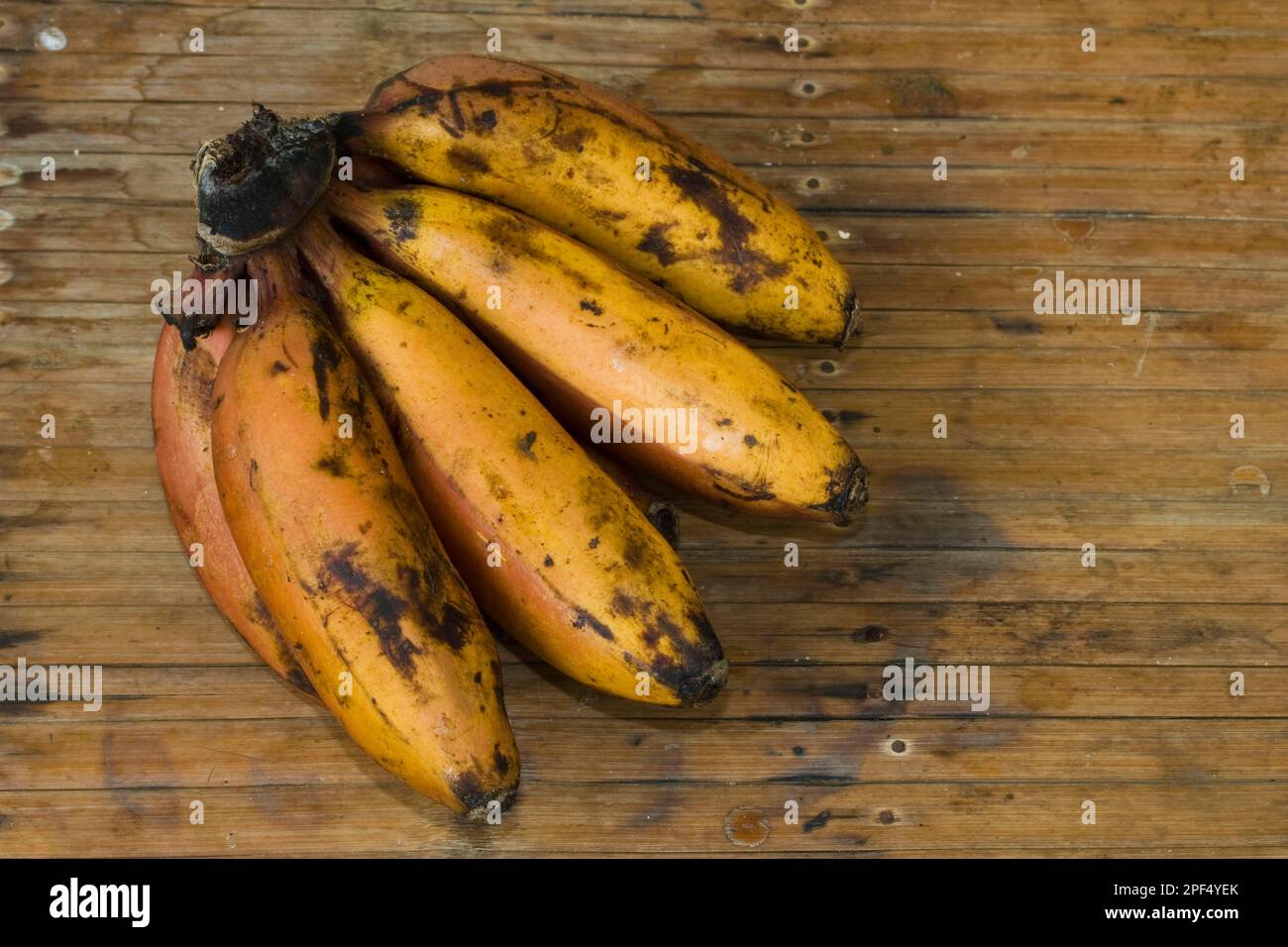 Banana (Musa sp.) picked fruit, edible red variety, Philippines Stock Photo