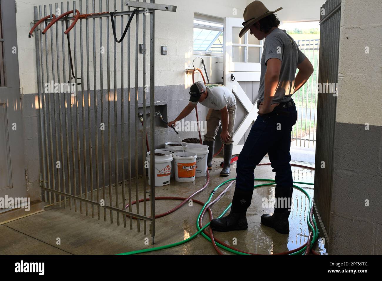 UNITED STATES - May 30, 2019: Johnny Dean and Cillian Cox set up food for the 125 hounds in the Piedmont Fox Hounds kennel.  (Photo By Douglas Graham/ Stock Photo