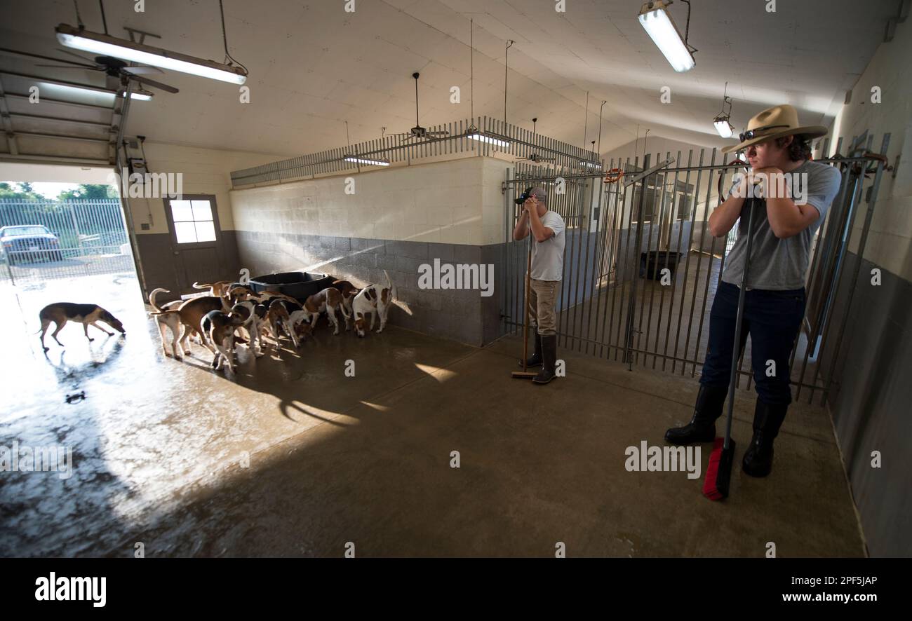 UNITED STATES - May 30, 2019: Johnny Dean and Cillian Cox clean out runs after morning feeding at the Piedmont Fox Hound Kennel. (Photo By Douglas Gra Stock Photo