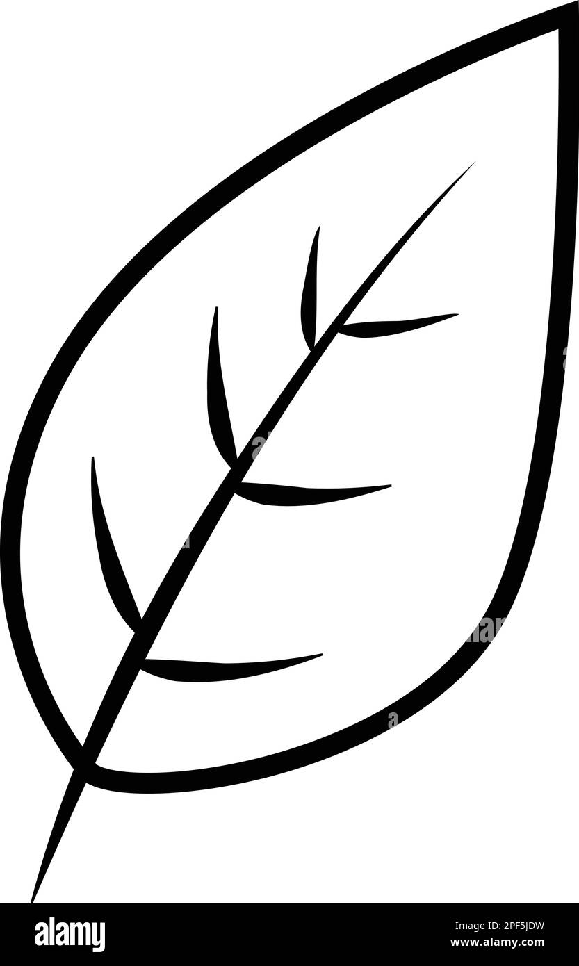 Simple leaf Black and White Stock Photos & Images - Alamy