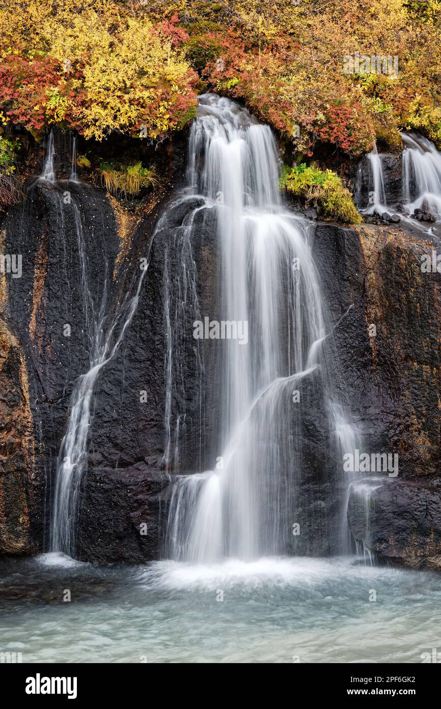 Small waterfall in Iceland, the water comes from a densely vegetated plain and falls in a filigree pattern over a steep rock step into a larger river, Stock Photo