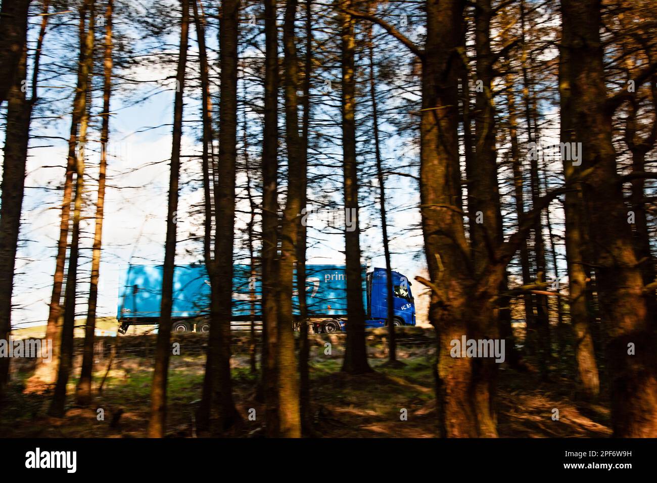 Amazon Prime truck seen through trees driving along a main road Stock