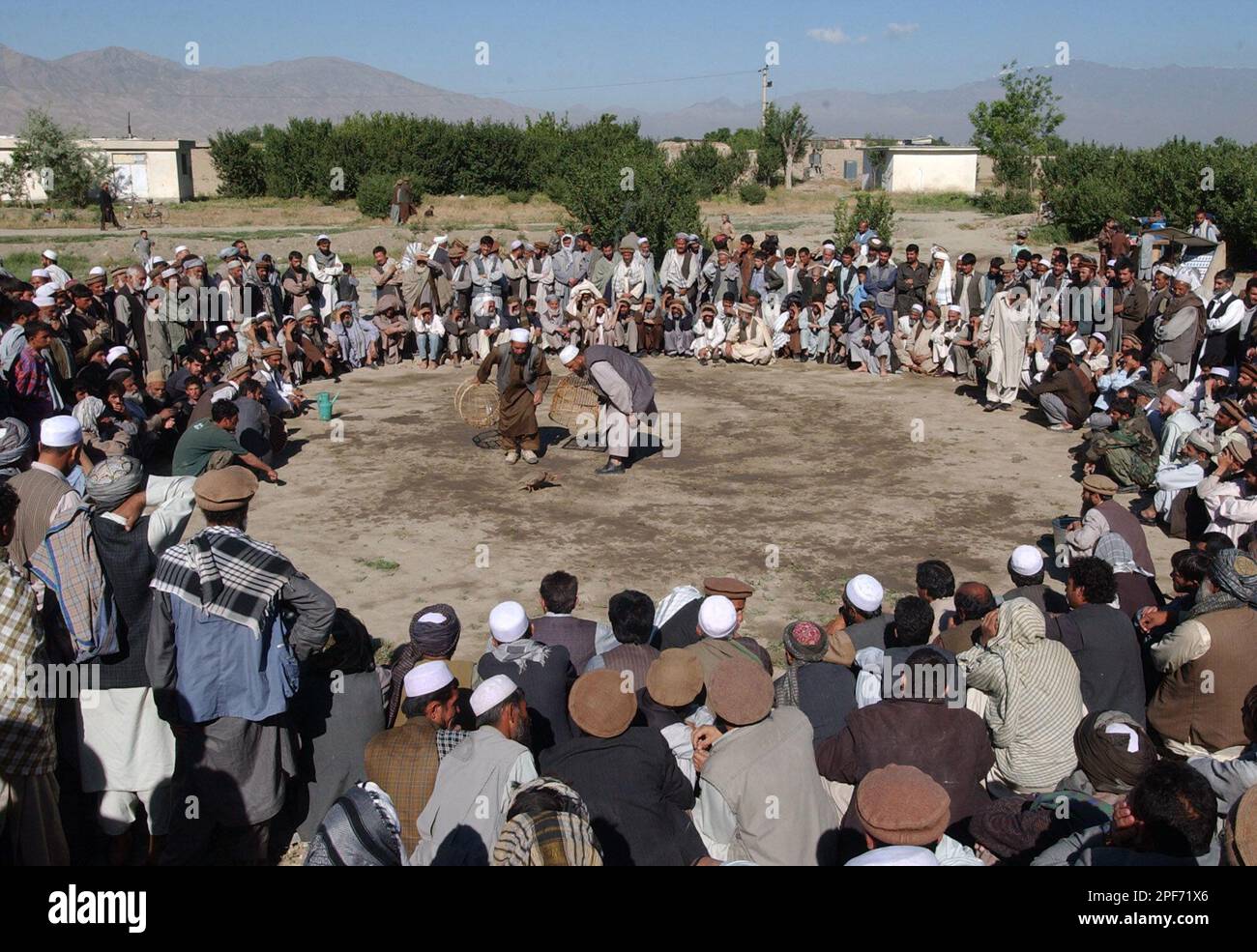 Afghans people watch the partridges fighting at the Babur Shahs garden ...