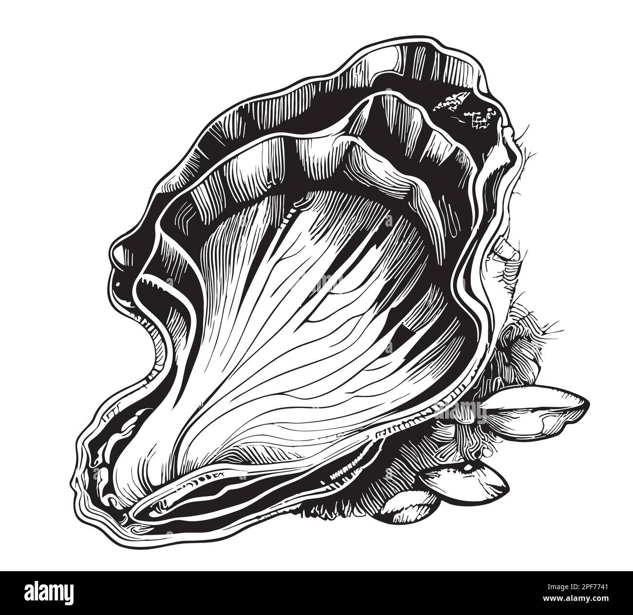 Oyster sea food sketch hand drawn in doodle style illustration Stock