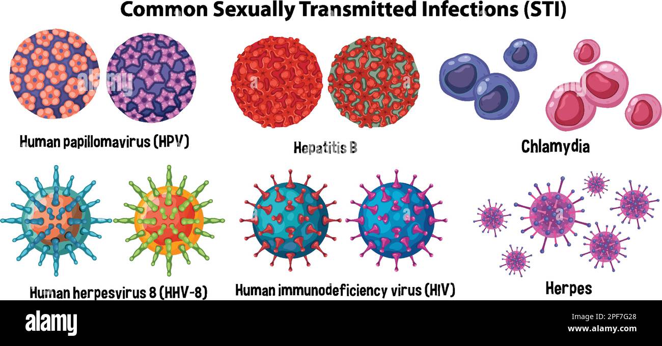 common-sexually-transmitted-infections-sti-illustration-stock-vector