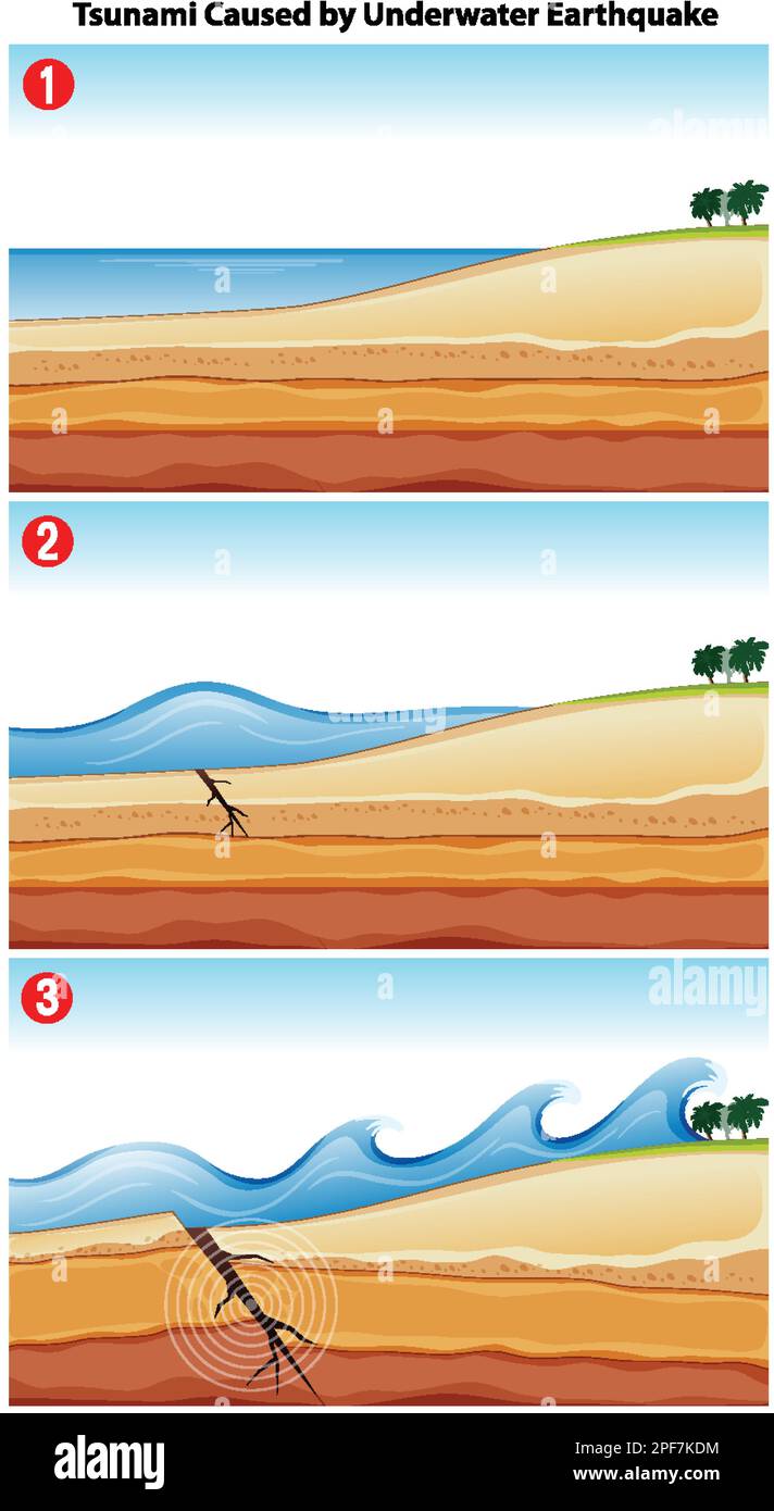 What is tsunami diagram
