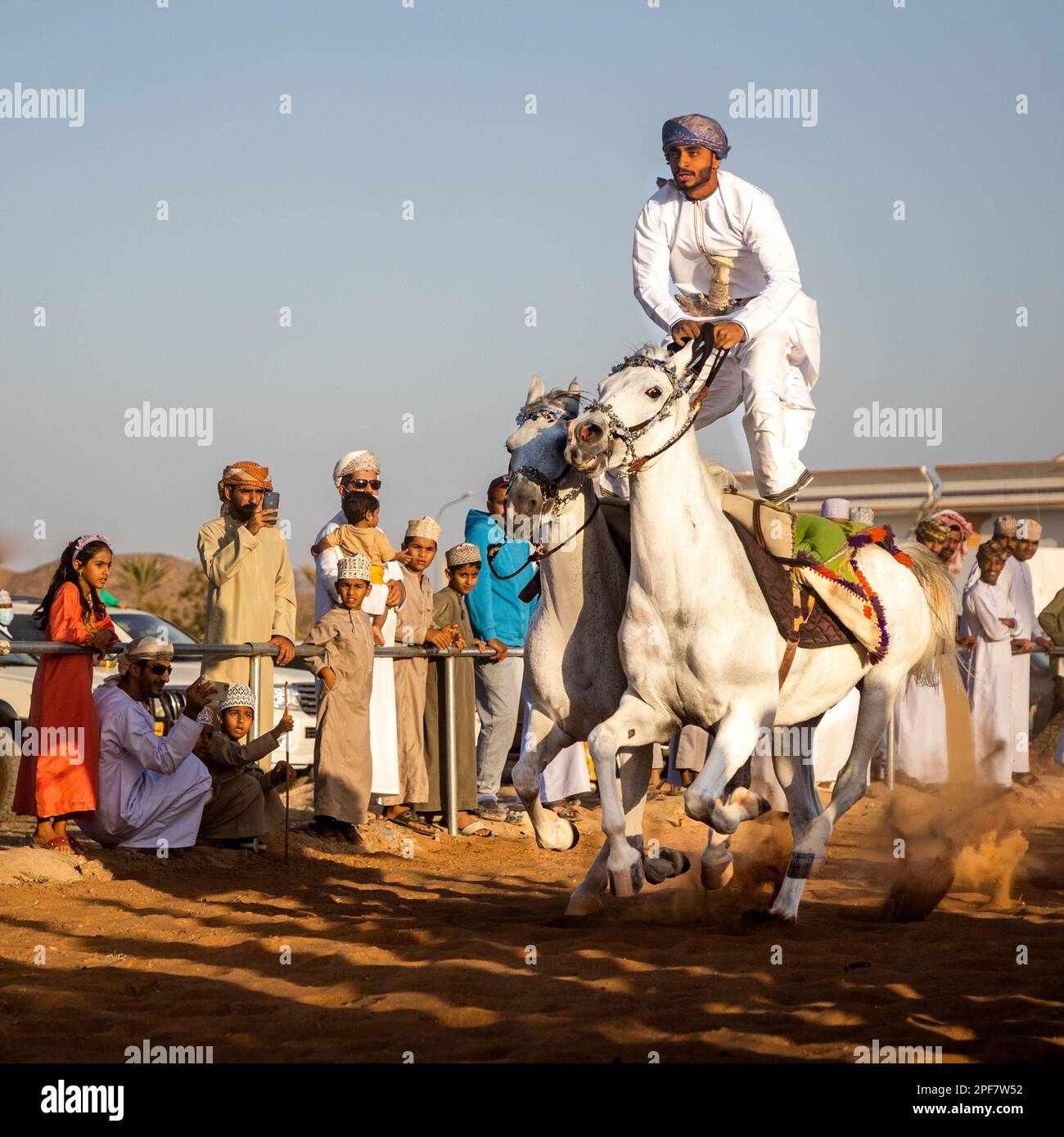 On the Back of a Horse a skilled rider displaying his skills during ...