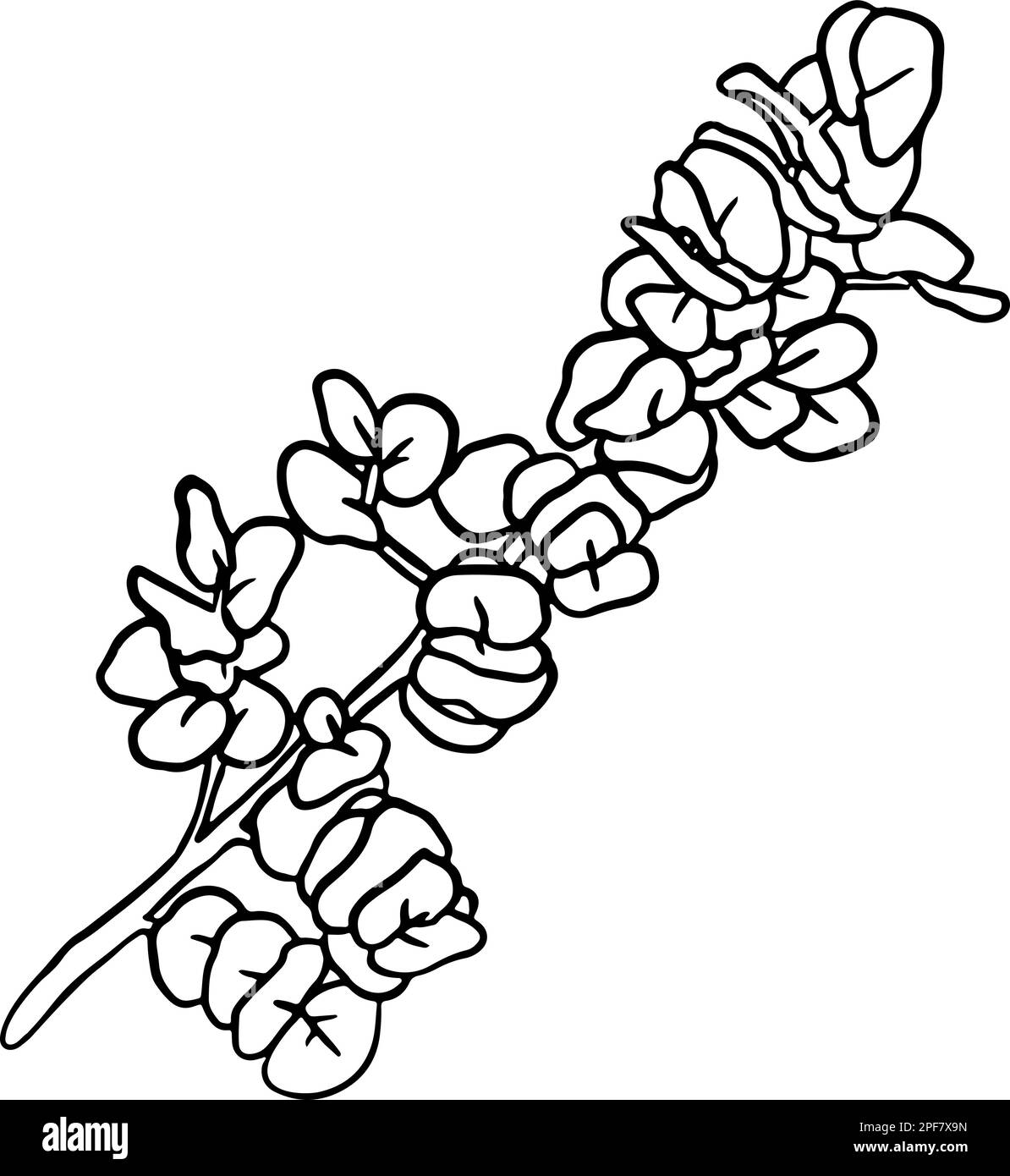 Hand Drawn Sketch Round Leaves Branch Stock Vector Image & Art - Alamy