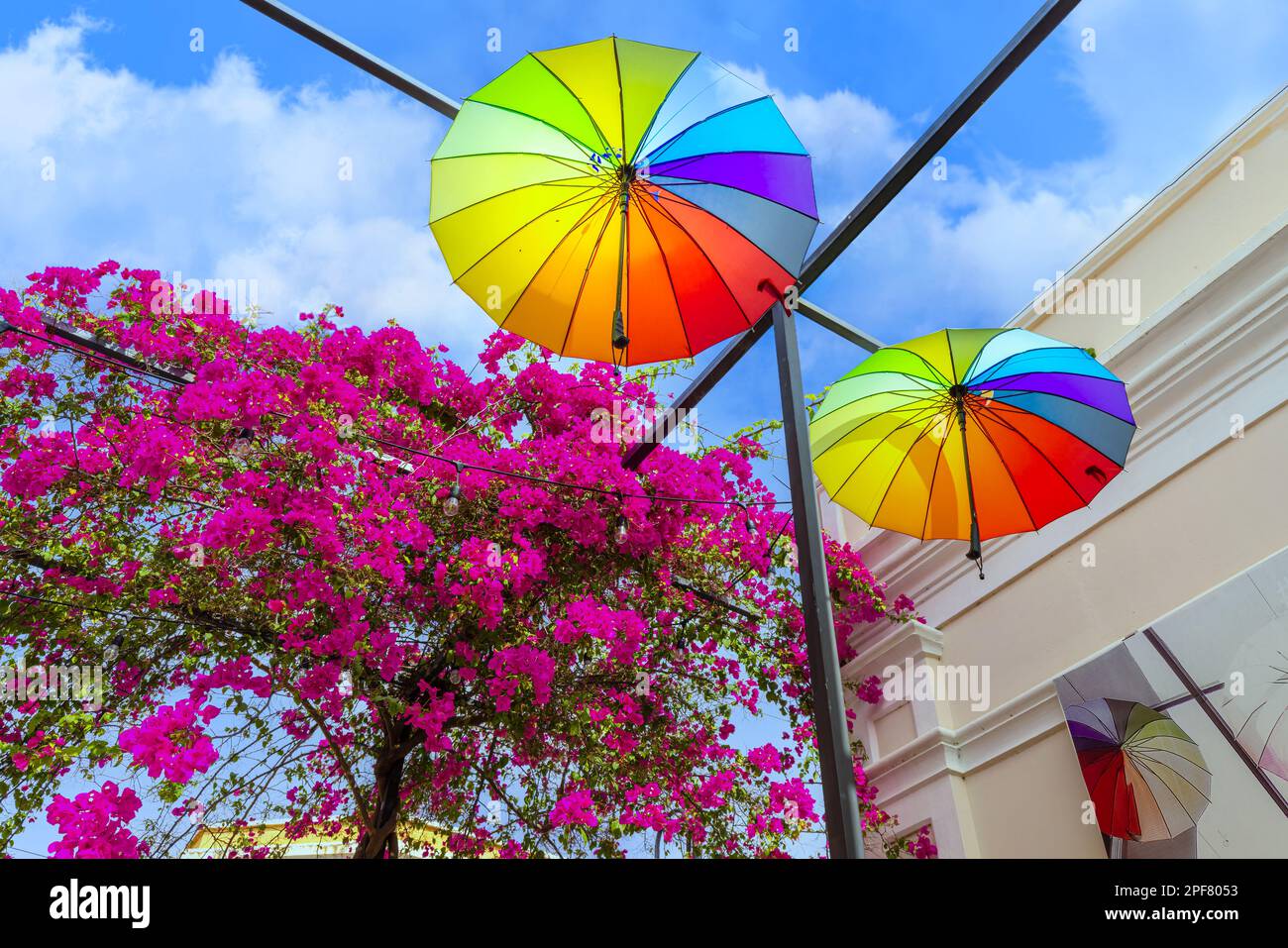 Dominican Republic, colorful colonial Umbrella street in Puerto Plata