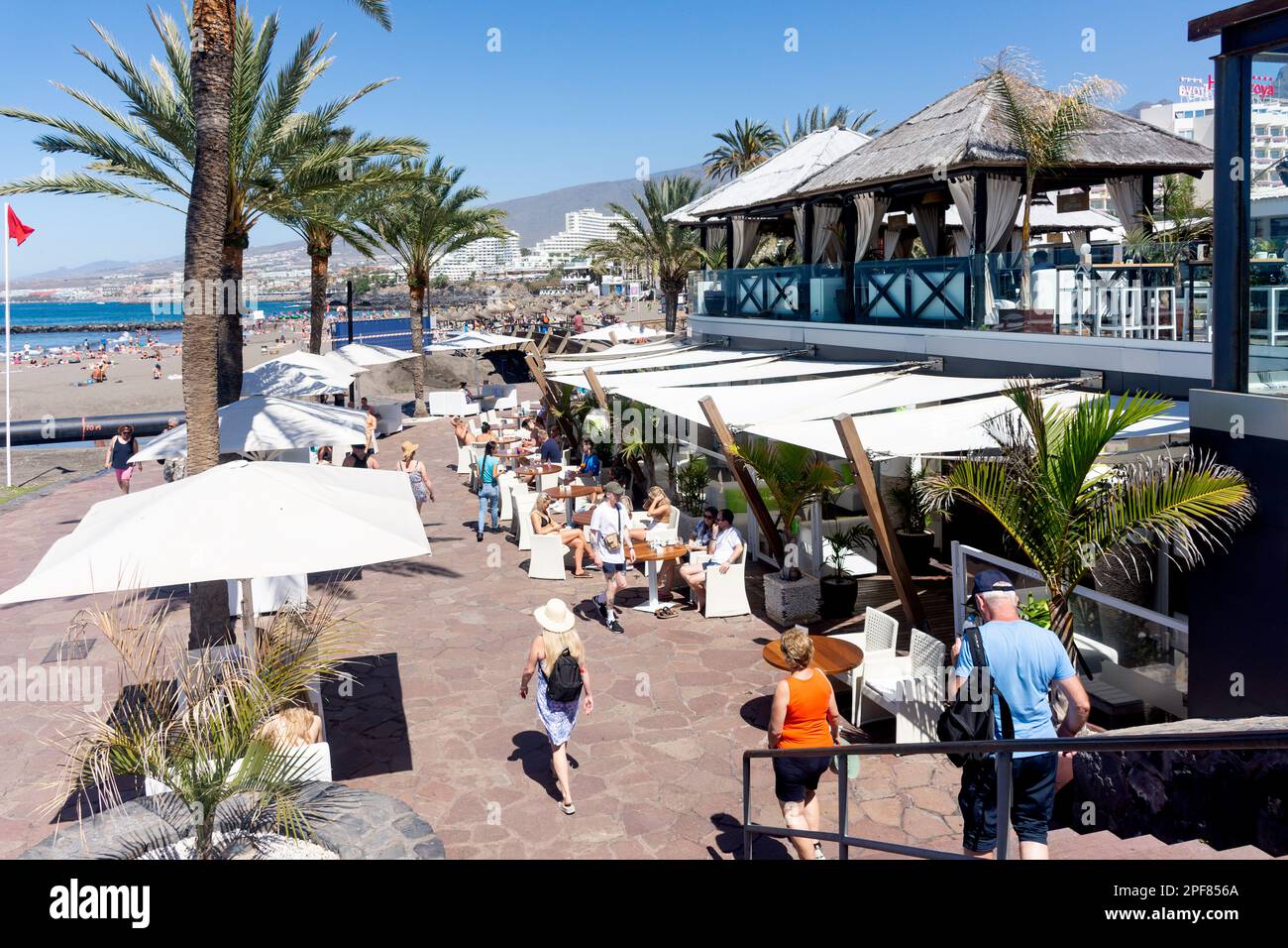 Papagayo Beach Club, Avenue Rafael Puig Lluvina, Playa de las Américas, Tenerife, Canary Islands, Kingdom of Spain Stock Photo