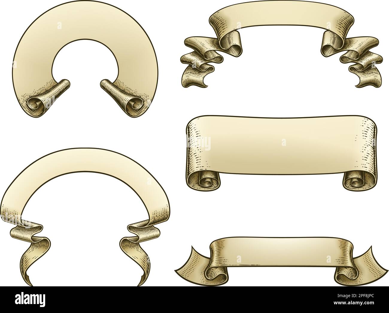 Scroll Paper Banner Parchment Flag Ribbon Woodcut Stock Vector Image ...