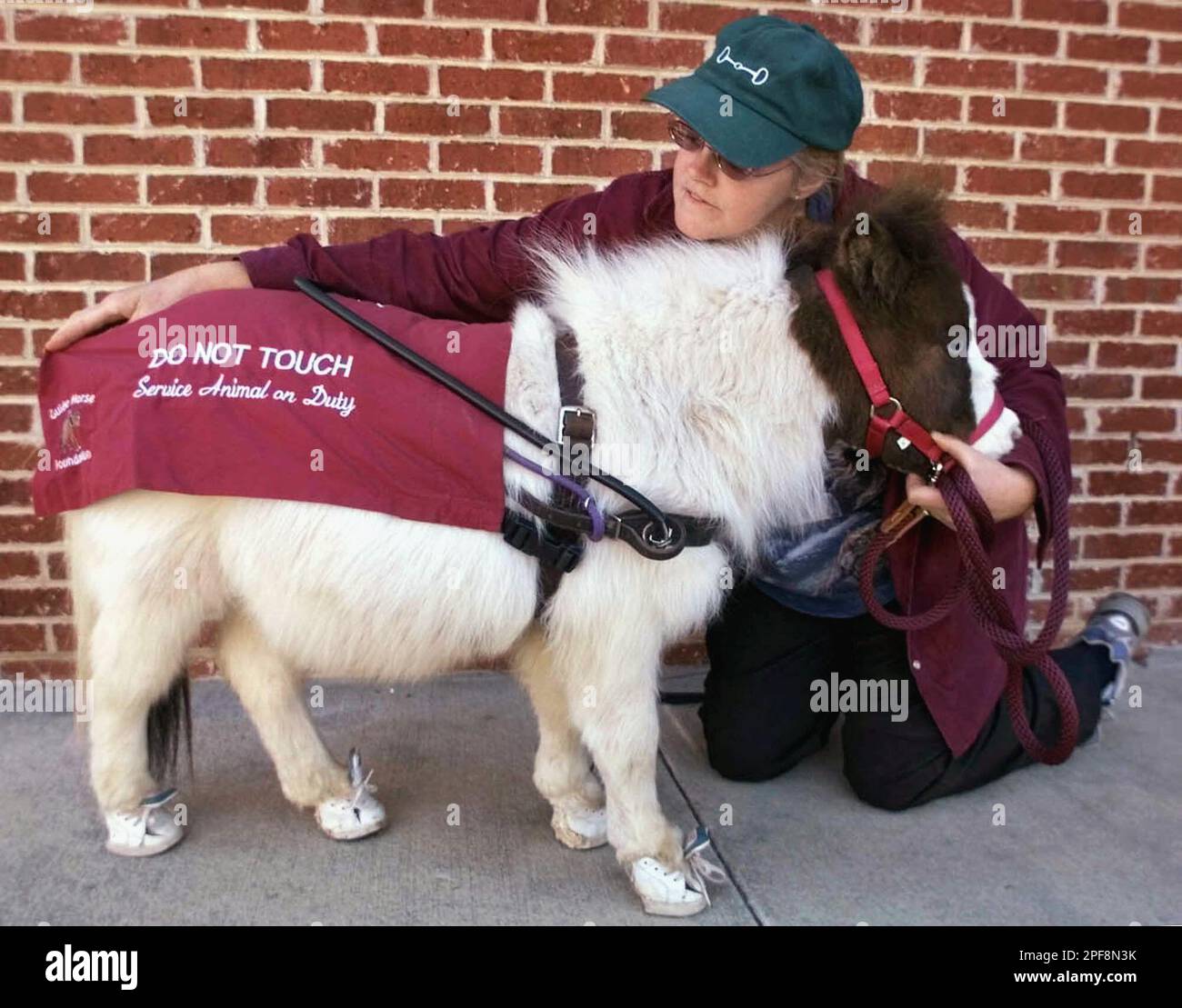 Burleson adjusts the 'Do Not Touch' blanket on her American