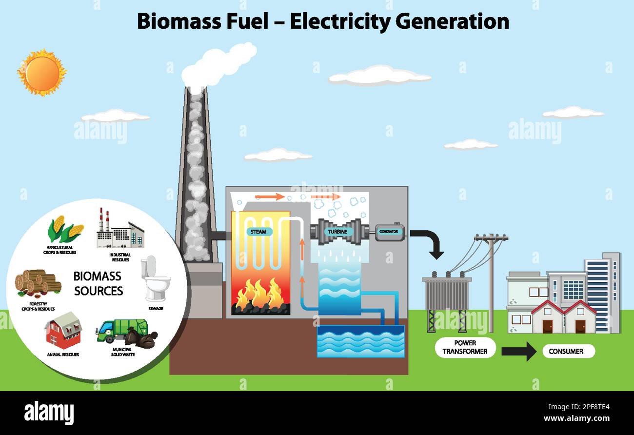 Biomass Fuel Electricity Generation Diagram illustration Stock Vector Image  & Art - Alamy