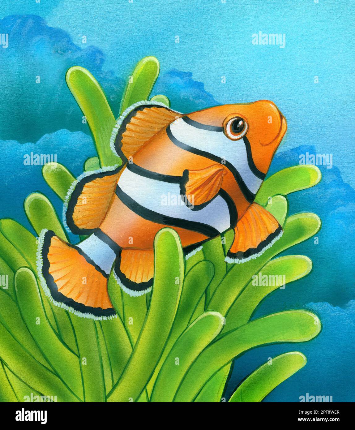 Animal-clown fish amongst sea anemone Stock Photo - Alamy