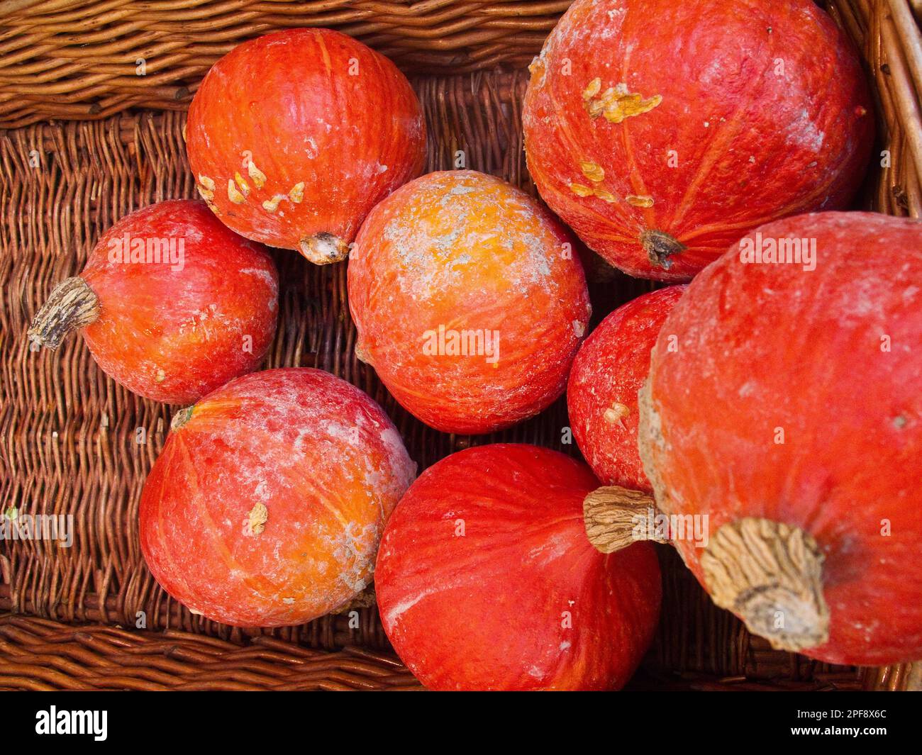 Orange squash in market, Paris Stock Photo Alamy