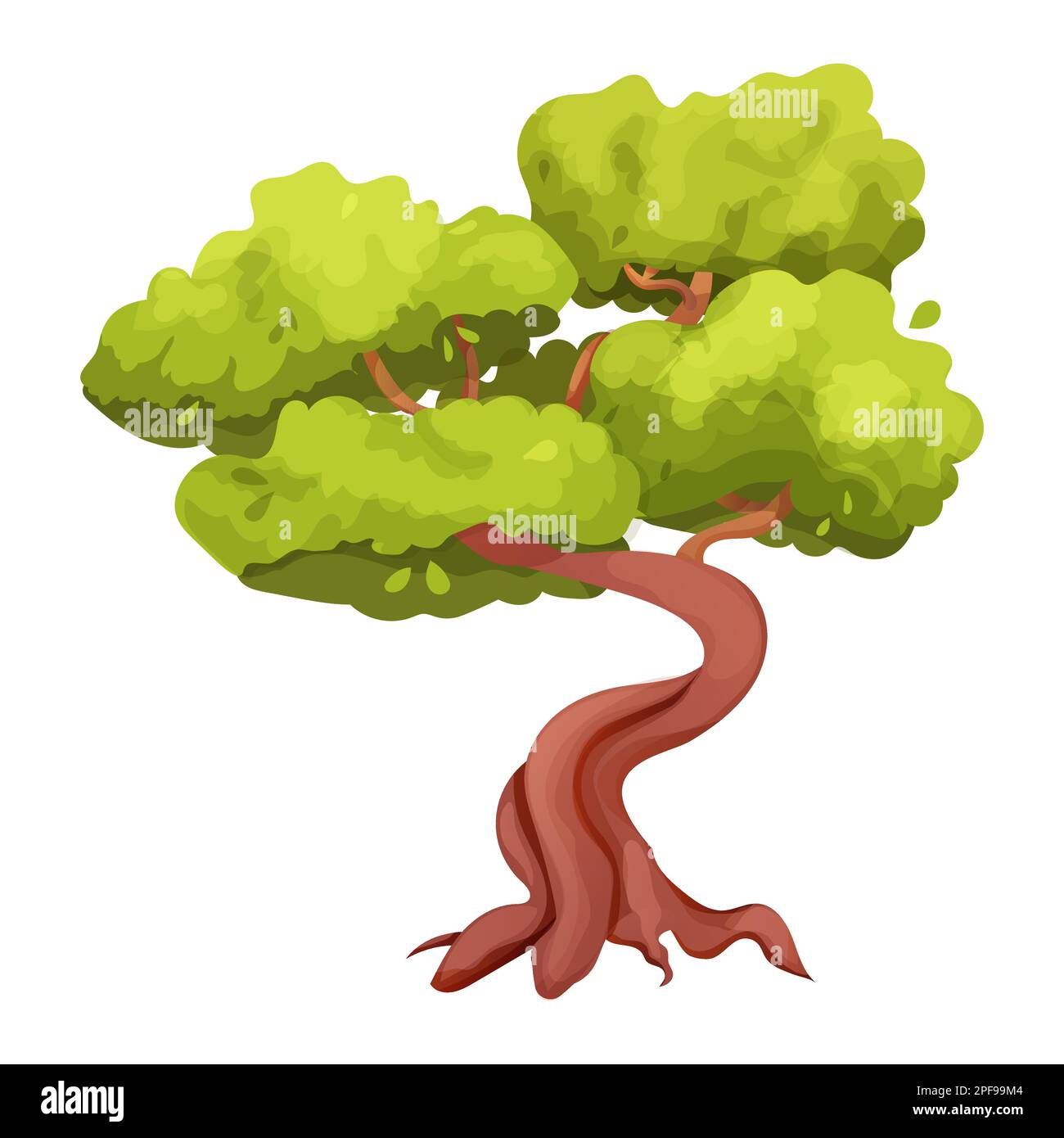 Magic Bonsai tree with twisted trunk, foliage in cartoon style, plant ...