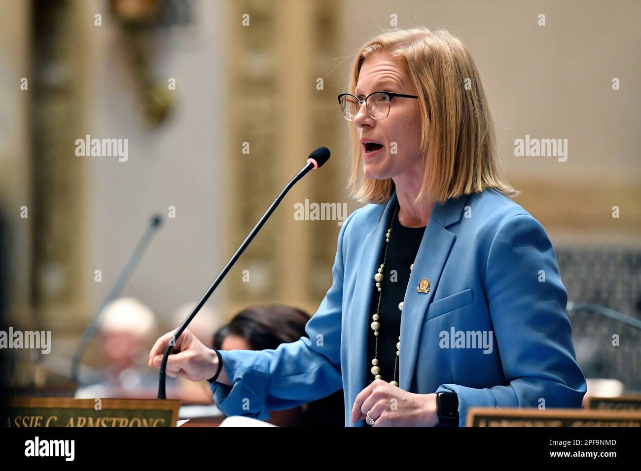 Kentucky state Sen. Cassie Armstrong speaks against Senate Bill 150 at