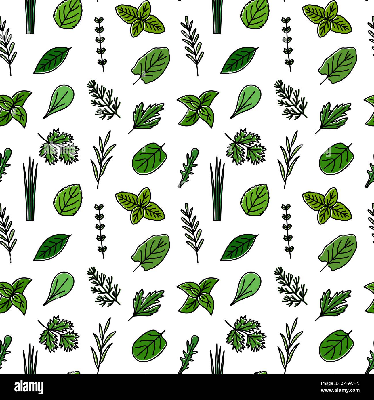 Seamless pattern with color icons of culinary herbs, vector ...
