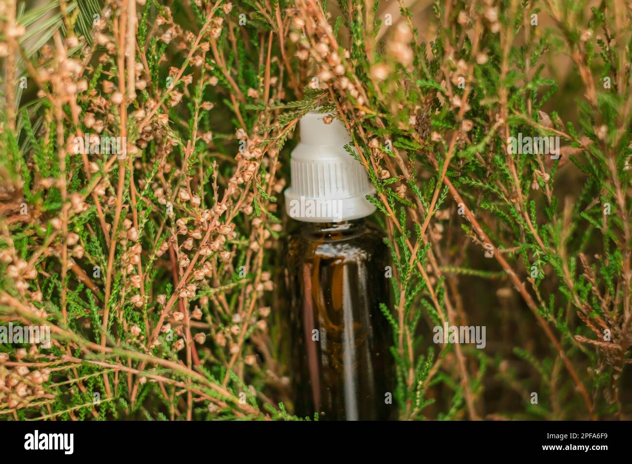 Herbal tincture.natural pharmacy. homeopathic remedies.Treatment with