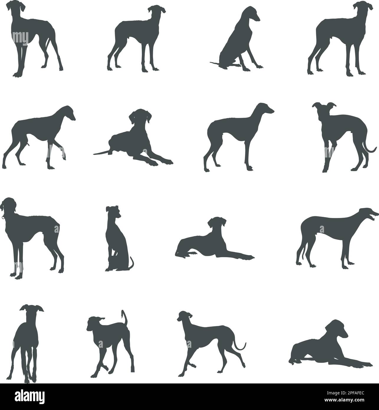 Azawakh dog silhouettes, Azawakh silhouette, Azawakh dog SVG, Azawakh dog vector Stock Vector