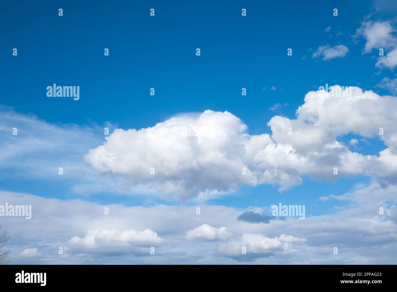 White cloud in the blue sky. Blue sky background with clouds. Natural daylight and white clouds floating on blue sky. Copy space for text, nobody Stock Photo