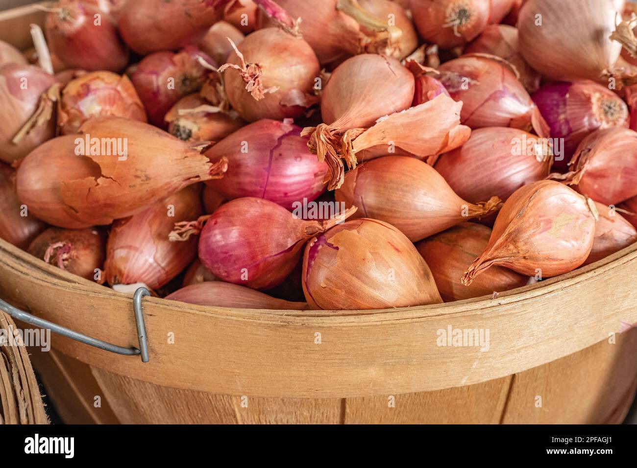 The sweet red onion of tropea hires stock photography and images Alamy