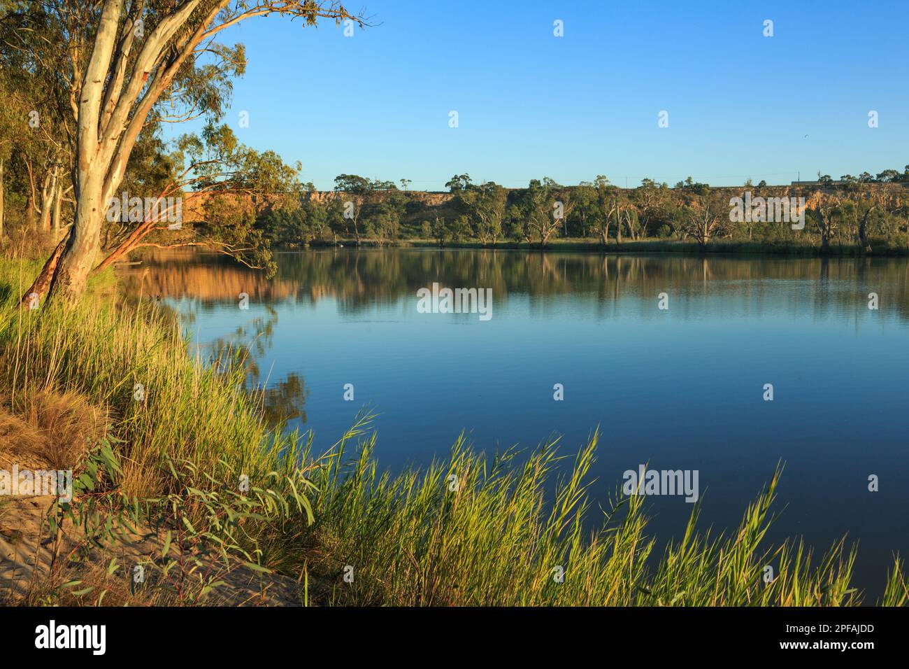Murray River. South Australia. Stock Photo